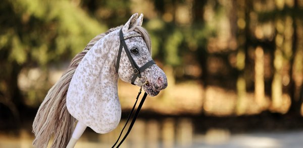 Hobbyhorse by Eponi