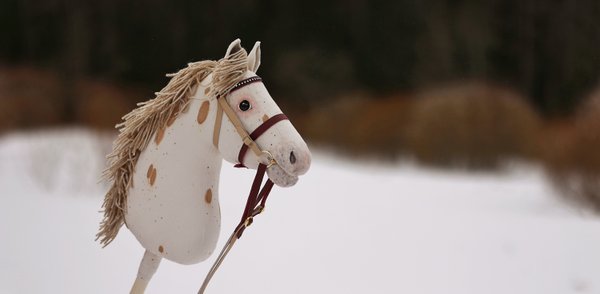 Hobbyhorse by Eponi