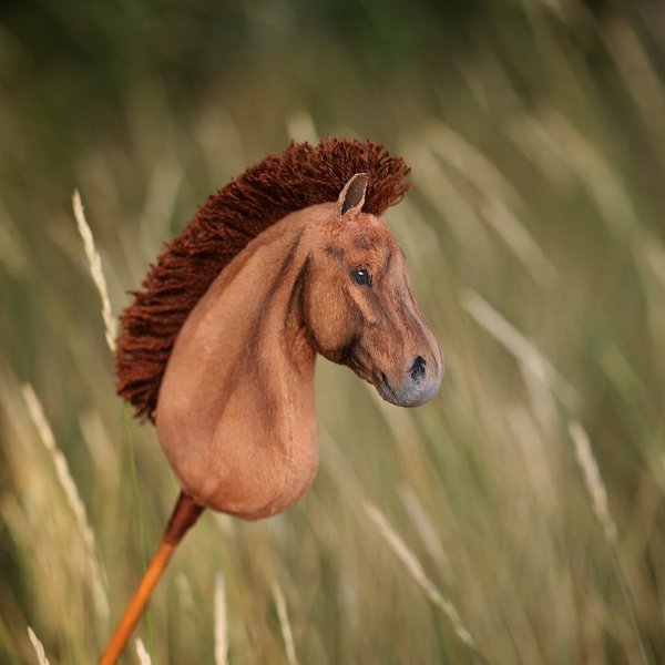 *Sold* Miniature Hobbyhorse "Stormy"