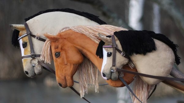 hobbyhorses by Eponi
